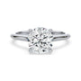 lm-preview|kennedy-hidden-halo-cathedral-solitaire-setting|white|round