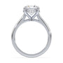 lm-preview|kennedy-hidden-halo-cathedral-solitaire-setting|white|round