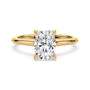 lm-preview|kennedy-hidden-halo-cathedral-solitaire-setting|yellow|elongated-cushion