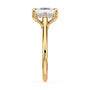 lm-preview|kennedy-hidden-halo-cathedral-solitaire-setting|yellow|elongated-cushion