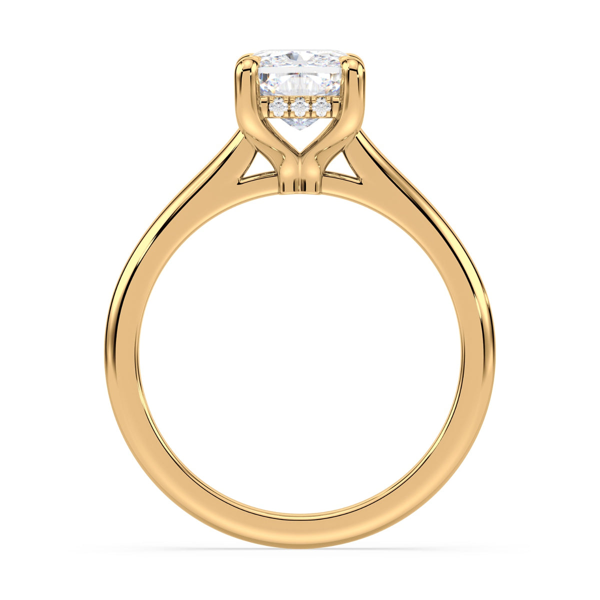 lm-preview|kennedy-hidden-halo-cathedral-solitaire-setting|yellow|elongated-cushion