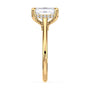 lm-preview|kennedy-hidden-halo-cathedral-solitaire-setting|yellow|emerald