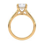lm-preview|kennedy-hidden-halo-cathedral-solitaire-setting|yellow|emerald