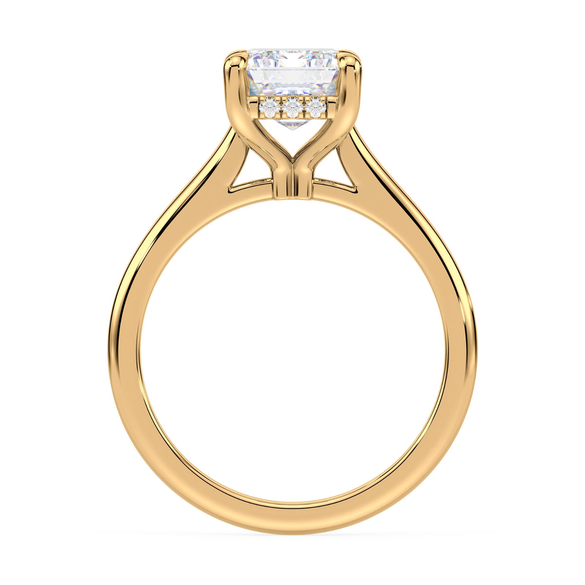 lm-preview|kennedy-hidden-halo-cathedral-solitaire-setting|yellow|emerald