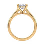 lm-preview|kennedy-hidden-halo-cathedral-solitaire-setting|yellow|oval