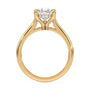 lm-preview|kennedy-hidden-halo-cathedral-solitaire-setting|yellow|pear