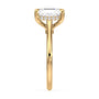 lm-preview|kennedy-hidden-halo-cathedral-solitaire-setting|yellow|radiant
