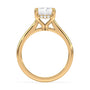 lm-preview|kennedy-hidden-halo-cathedral-solitaire-setting|yellow|radiant
