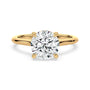 lm-preview|kennedy-hidden-halo-cathedral-solitaire-setting|yellow|round