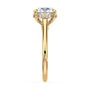 lm-preview|kennedy-hidden-halo-cathedral-solitaire-setting|yellow|round