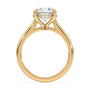 lm-preview|kennedy-hidden-halo-cathedral-solitaire-setting|yellow|round