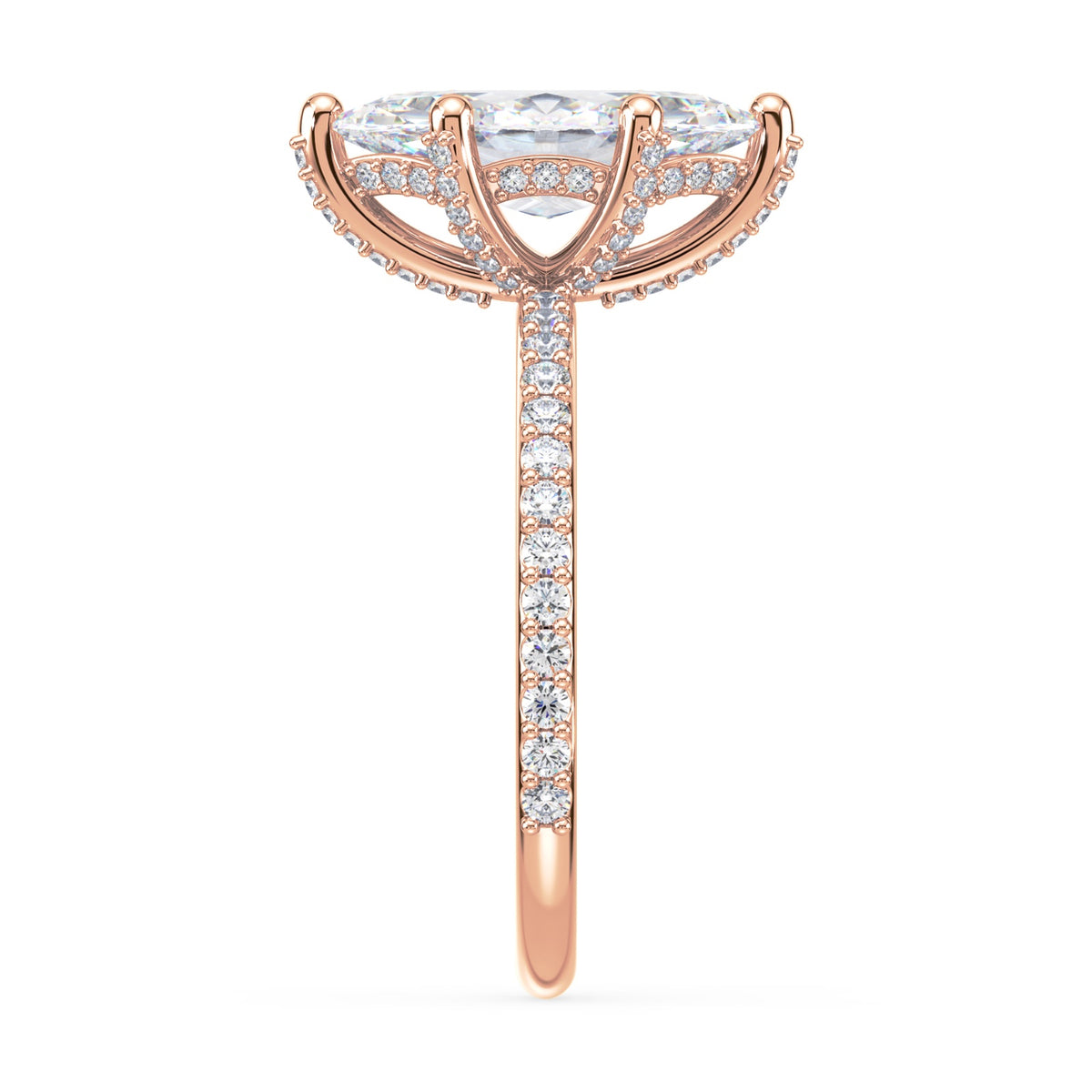 lm-preview|lorelei-hidden-halo-pave-setting|rose|marquise