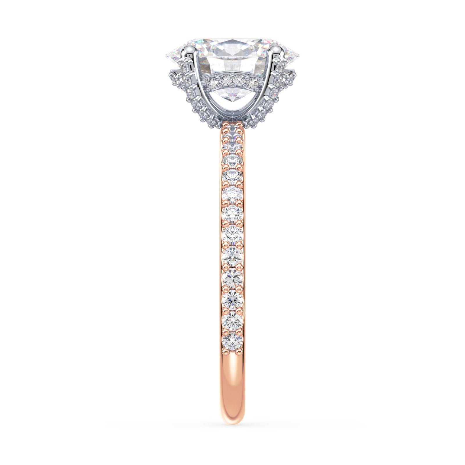 lm-preview|lorelei-hidden-halo-pave-setting|tt-rose|oval