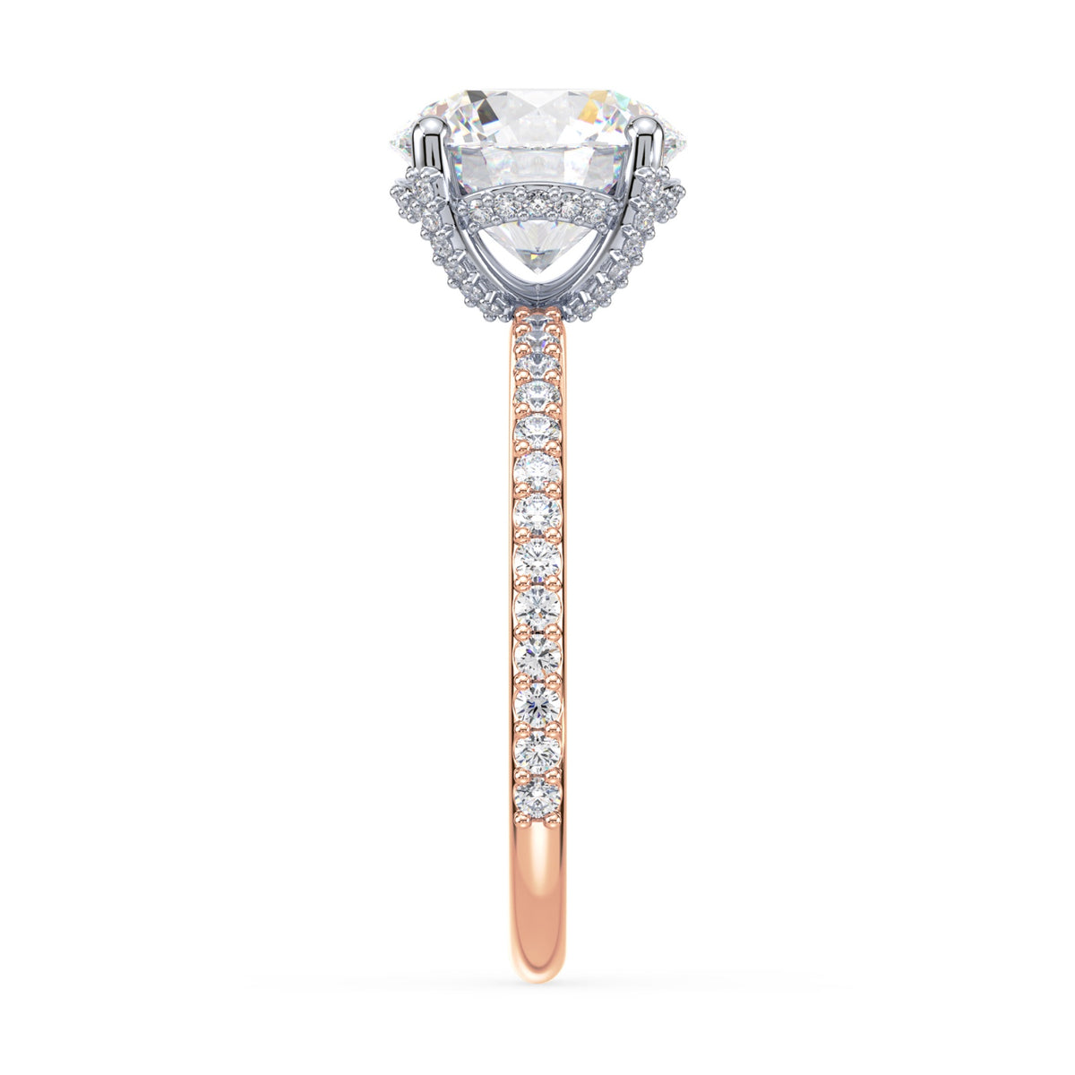 lm-preview|lorelei-hidden-halo-pave-setting|tt-rose|round