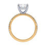 lm-preview|lorelei-hidden-halo-pave-setting|tt-yellow|emerald