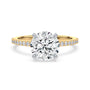 lm-preview|lorelei-hidden-halo-pave-setting|tt-yellow|round