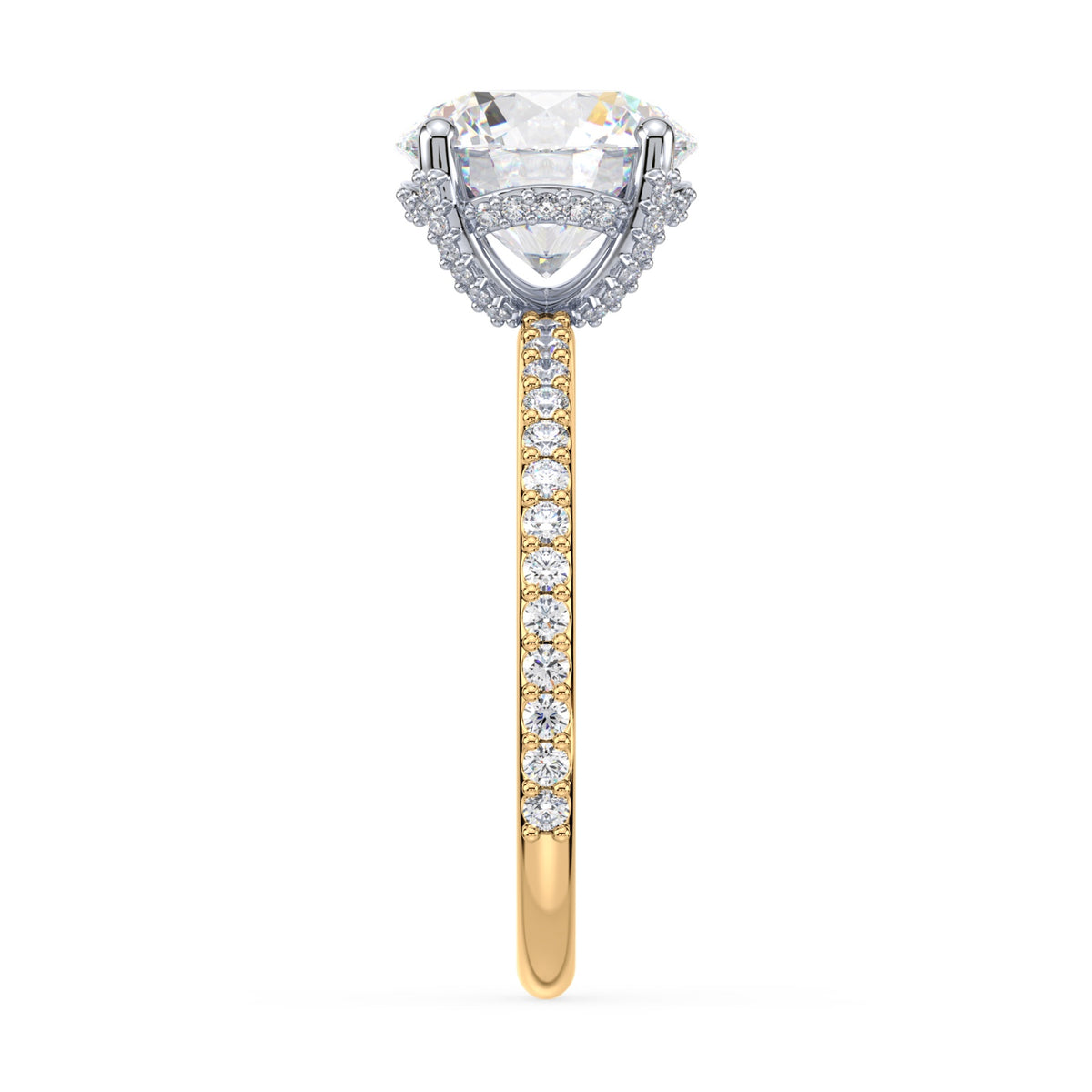 lm-preview|lorelei-hidden-halo-pave-setting|tt-yellow|round