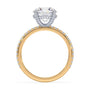 lm-preview|lorelei-hidden-halo-pave-setting|tt-yellow|round