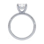 lm-preview|lorelei-hidden-halo-pave-setting|white|emerald