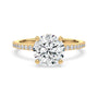 lm-preview|lorelei-hidden-halo-pave-setting|yellow|round