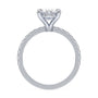 lm-preview|louisa-french-pave-setting|white|oval