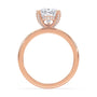 lm-preview|lucy-hidden-halo-solitaire-setting|rose|pear