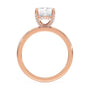 lm-preview|lucy-hidden-halo-solitaire-setting|rose|radiant