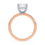 lm-preview|lucy-hidden-halo-solitaire-setting|tt-rose|emerald