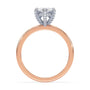 lm-preview|lucy-hidden-halo-solitaire-setting|tt-rose|marquise