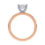 lm-preview|lucy-hidden-halo-solitaire-setting|tt-rose|oval