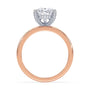 lm-preview|lucy-hidden-halo-solitaire-setting|tt-rose|pear