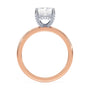 lm-preview|lucy-hidden-halo-solitaire-setting|tt-rose|radiant