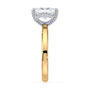 lm-preview|lucy-hidden-halo-solitaire-setting|tt-yellow|elongated-cushion