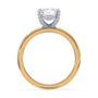 lm-preview|lucy-hidden-halo-solitaire-setting|tt-yellow|elongated-cushion