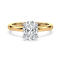lm-preview|lucy-hidden-halo-solitaire-setting|tt-yellow|oval