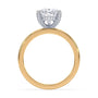 lm-preview|lucy-hidden-halo-solitaire-setting|tt-yellow|pear