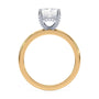 lm-preview|lucy-hidden-halo-solitaire-setting|tt-yellow|radiant