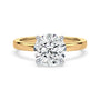 lm-preview|lucy-hidden-halo-solitaire-setting|tt-yellow|round