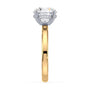 lm-preview|lucy-hidden-halo-solitaire-setting|tt-yellow|round