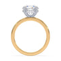 lm-preview|lucy-hidden-halo-solitaire-setting|tt-yellow|round