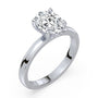 lm-preview|lucy-hidden-halo-solitaire-setting|white|oval