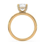 lm-preview|lucy-hidden-halo-solitaire-setting|yellow|elongated-cushion