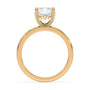 lm-preview|lucy-hidden-halo-solitaire-setting|yellow|emerald