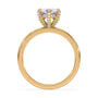lm-preview|lucy-hidden-halo-solitaire-setting|yellow|marquise