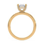 lm-preview|lucy-hidden-halo-solitaire-setting|yellow|oval