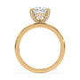 lm-preview|lucy-hidden-halo-solitaire-setting|yellow|pear