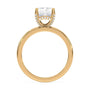 lm-preview|lucy-hidden-halo-solitaire-setting|yellow|radiant