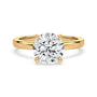 lm-preview|lucy-hidden-halo-solitaire-setting|yellow|round