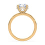 lm-preview|lucy-hidden-halo-solitaire-setting|yellow|round