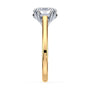 lm-preview|molly-double-claw-prong-solitaire-setting|tt-yellow|oval